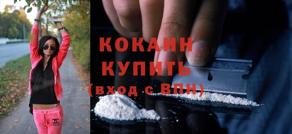индика Армянск