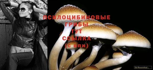 индика Армянск