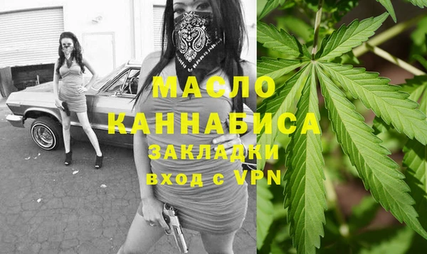 индика Армянск