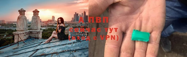 индика Армянск