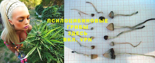 spice Аркадак