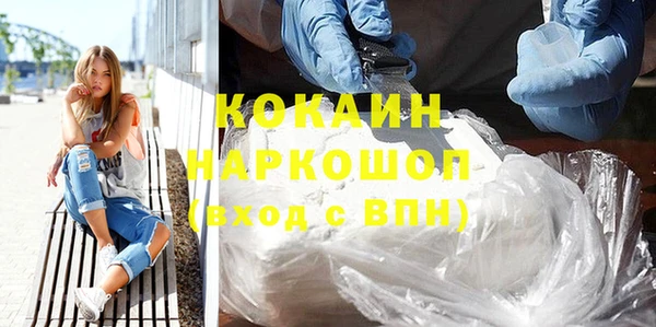 индика Армянск