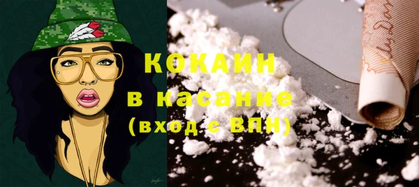 индика Армянск