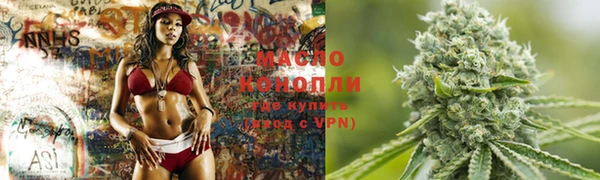 индика Армянск